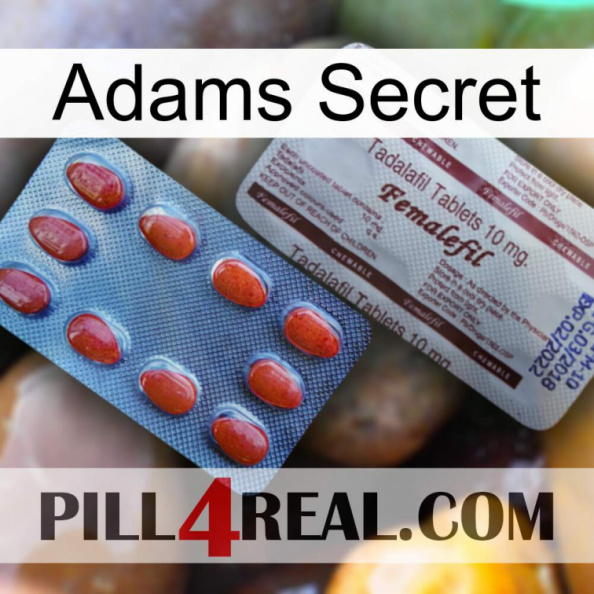 Adams Secret 36.jpg